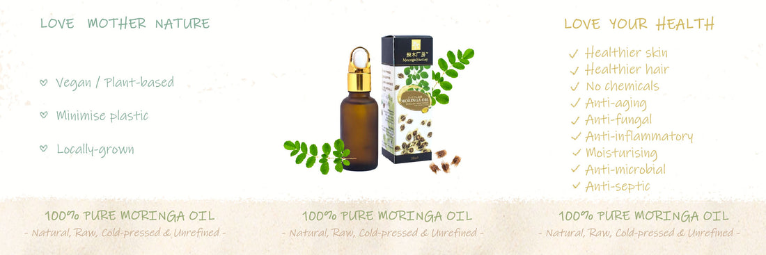 The Miracle Tree : source of Moringa Oil